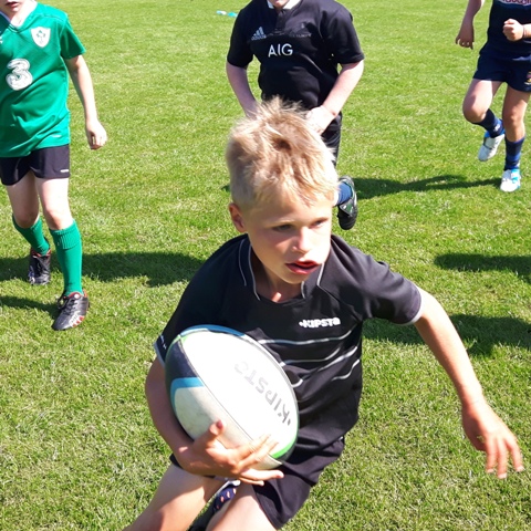 rugby camps